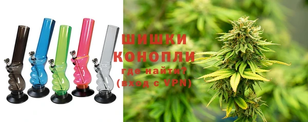 mdpv Бородино