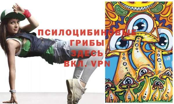 mdpv Бородино