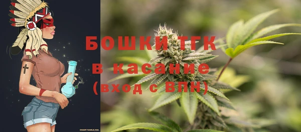 mdpv Бородино
