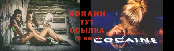 mdpv Бородино
