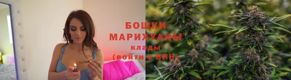 mdpv Бородино