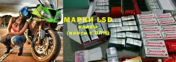 mdpv Бородино
