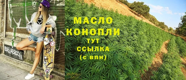 mdpv Бородино