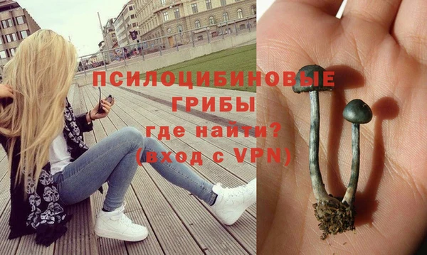 ешки Бугульма