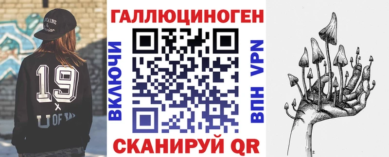 mega зеркало  Цоци-Юрт  Псилоцибиновые грибы Psilocybe 