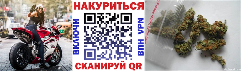 Канабис SATIVA & INDICA  Цоци-Юрт 